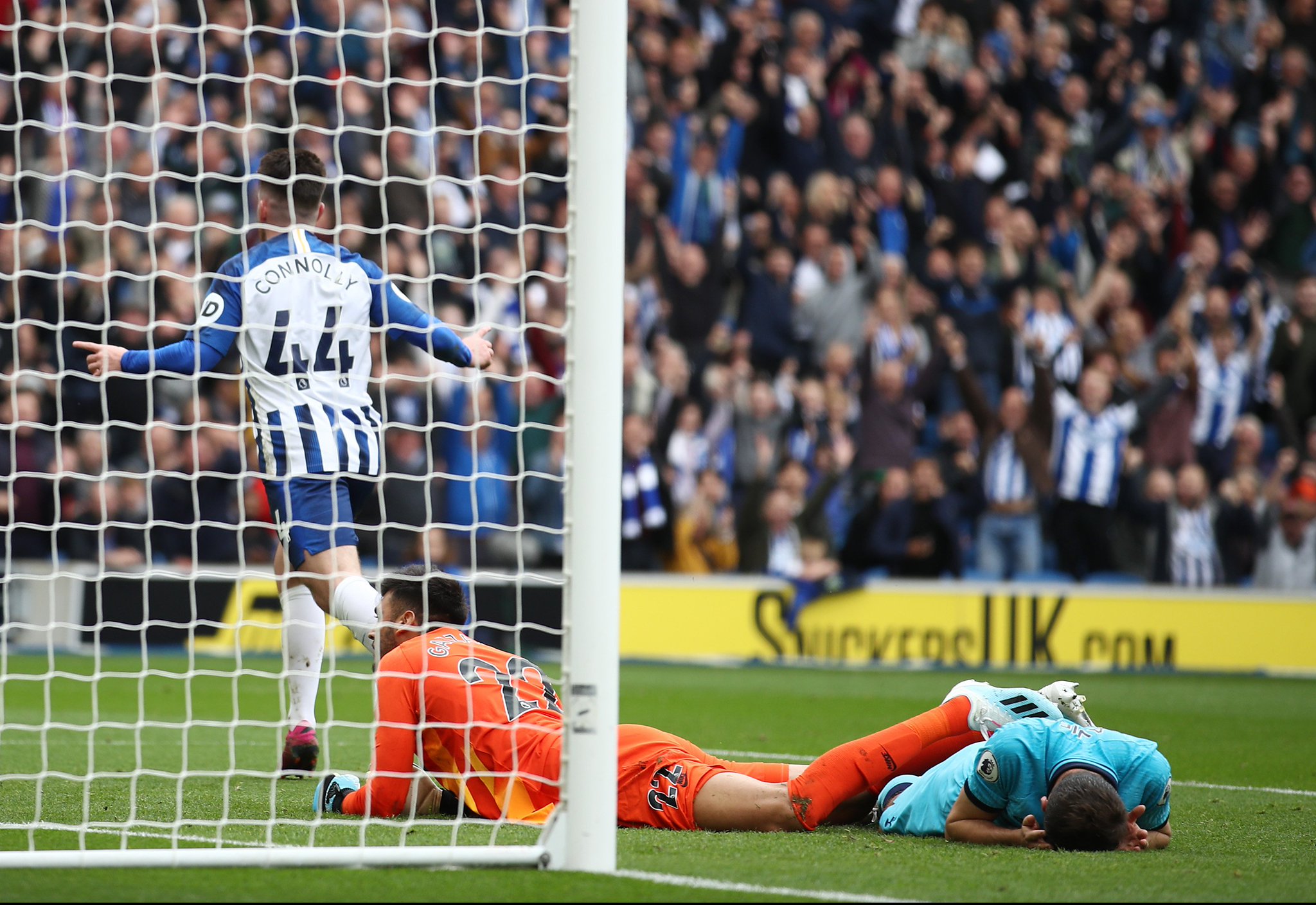 更为倾心 更为倾心